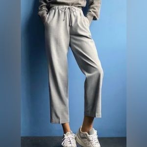 Aritzia The Group by Babaton Jimmy Pant Size XXS in Heather Comet